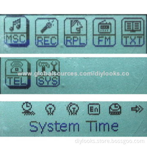 8GB MP3 Player with USB Port, FM Radio and LCD Screen